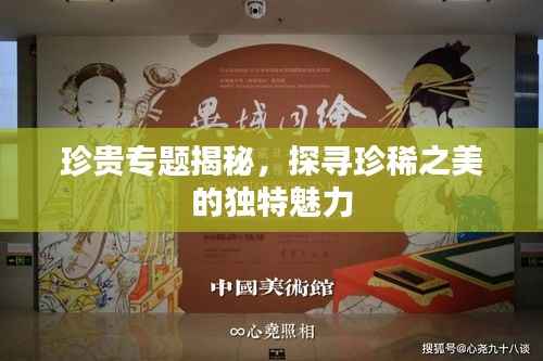 珍贵专题揭秘,探寻珍稀之美的独特魅力