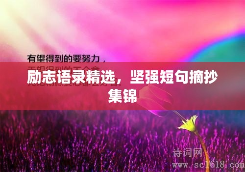 励志语录精选,坚强短句摘抄集锦