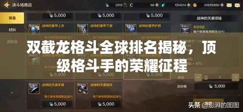 双截龙格斗全球排名揭秘，顶级格斗手的荣耀征程