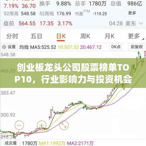 创业板龙头公司股票榜单TOP10,行业影响力与投资机会解析