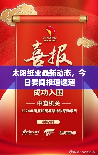 太阳纸业最新动态,今日要闻报道速递