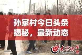 孙家村今日头条揭秘,最新动态与热点消息汇总
