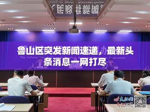 鲁山区突发新闻速递,最新头条消息一网打尽