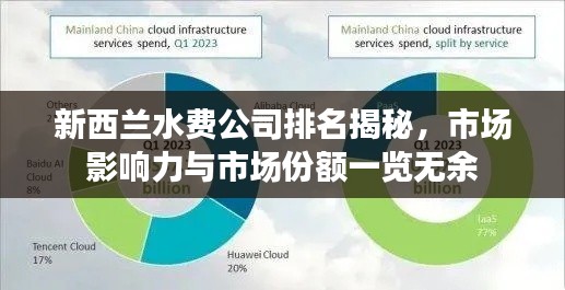 新西兰水费公司排名揭秘,市场影响力与市场份额一览无余