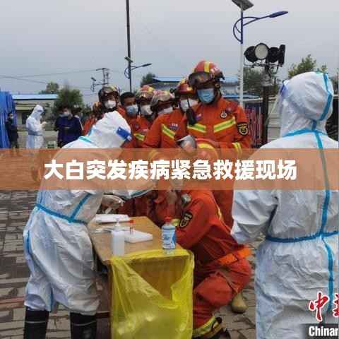 大白突发疾病紧急救援现场