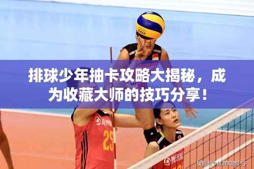 排球少年抽卡攻略大揭秘,成为收藏大师的技巧分享!