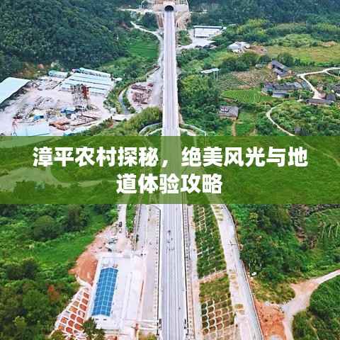 漳平农村探秘,绝美风光与地道体验攻略