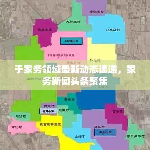 于家务领域最新动态速递，家务新闻头条聚焦