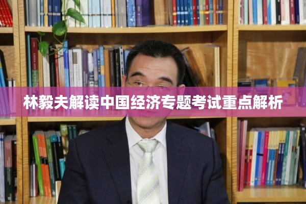 林毅夫解读中国经济专题考试重点解析