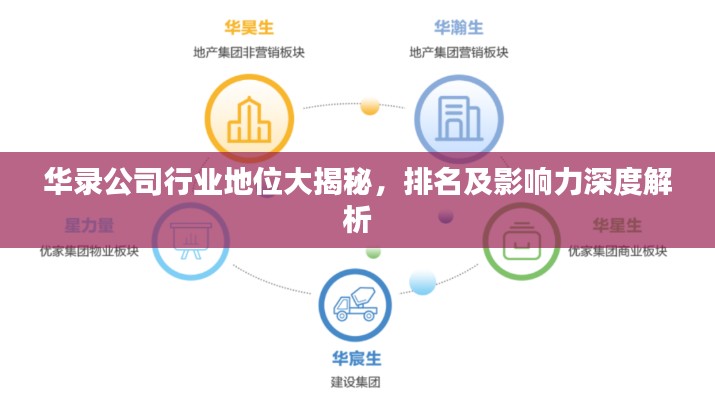 华录公司行业地位大揭秘,排名及影响力深度解析