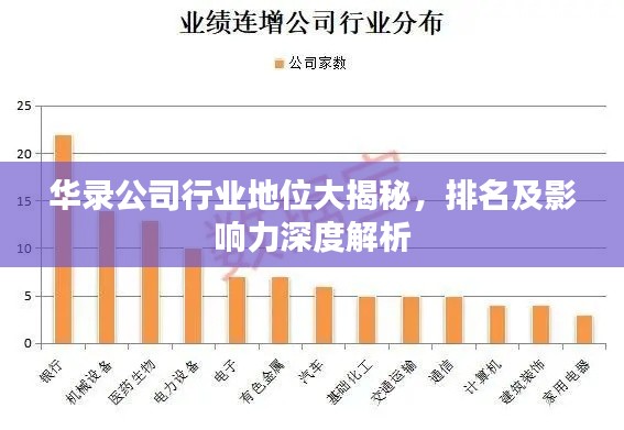 华录公司行业地位大揭秘,排名及影响力深度解析