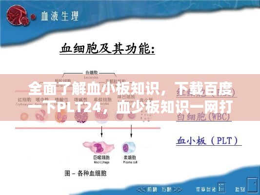 全面了解血小板知识,下载百度一下PLT24,血少板知识一网打尽