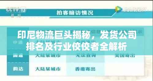 印尼物流巨头揭秘,发货公司排名及行业佼佼者全解析