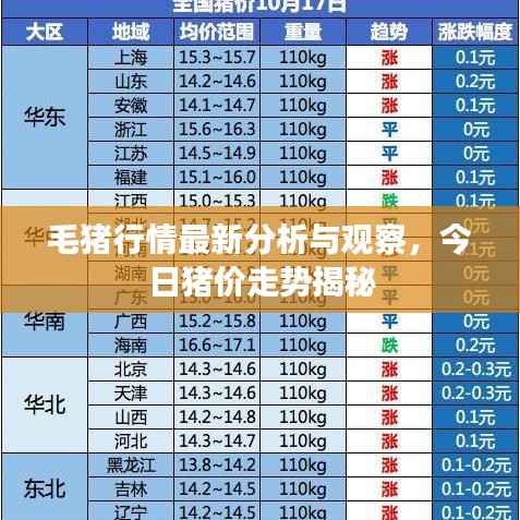毛猪行情最新分析与观察,今日猪价走势揭秘