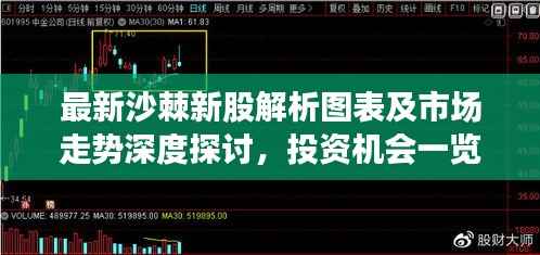 最新沙棘新股解析图表及市场走势深度探讨,投资机会一览