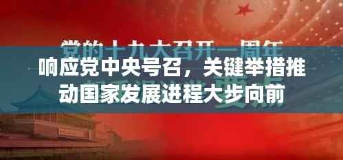 响应党中央号召,关键举措推动国家发展进程大步向前