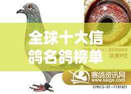 全球十大信鸽名鸽榜单揭晓!