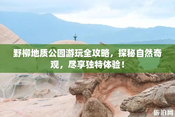 野柳地质公园游玩全攻略,探秘自然奇观,尽享独特体验!