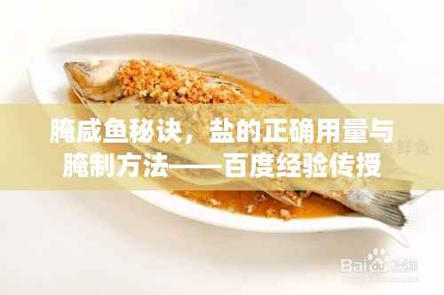 腌咸鱼秘诀,盐的正确用量与腌制方法——百度经验传授