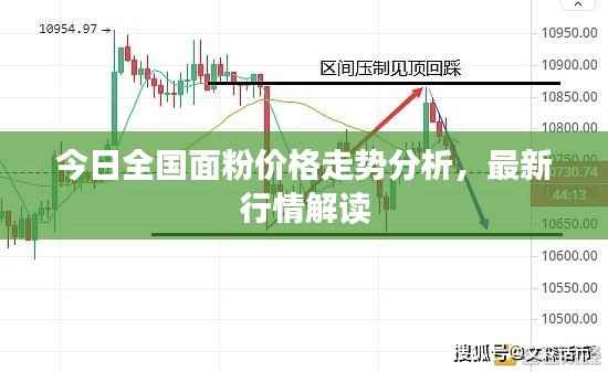 今日全国面粉价格走势分析,最新行情解读